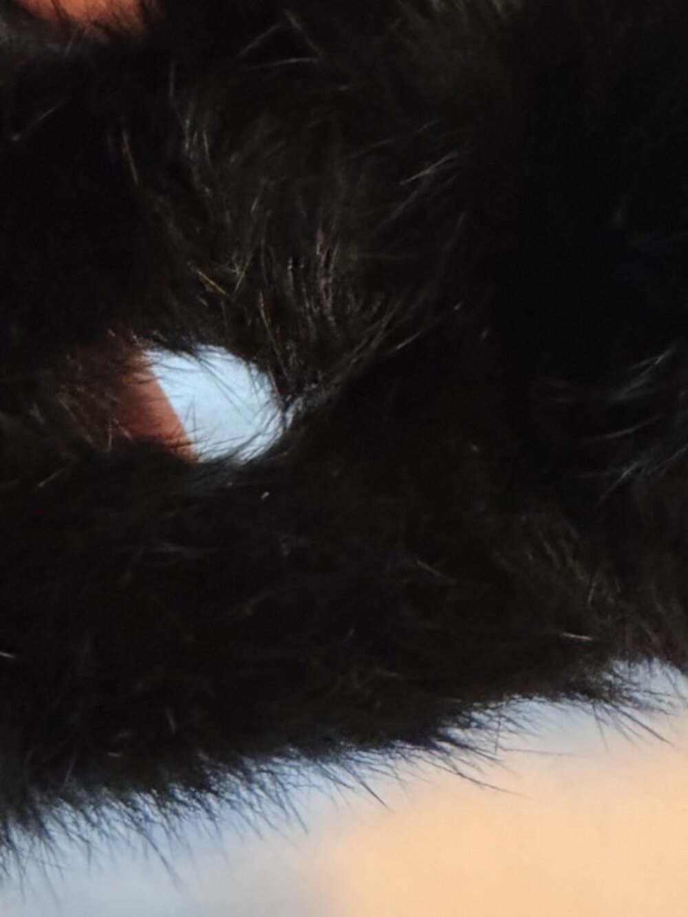 Rex Rabbit Black Fur Scarf w/ Pull-Through Slots – Ultra Soft Black Fur Wrap - Picture 5 of 5